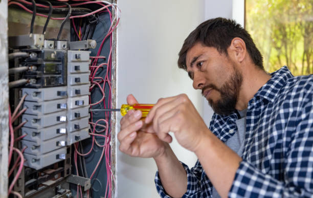 Best Ceiling Fan Installation Electrician  in Olive Branch, MS